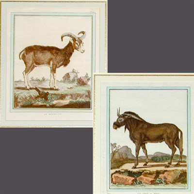 Lot 95 - After De Sere LE GNOU OU NIOU and LE MOUFFLON...