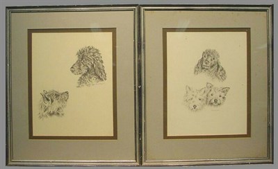 Lot 204 - Ronnie Morgan Three Puppies; Dog Portraits...