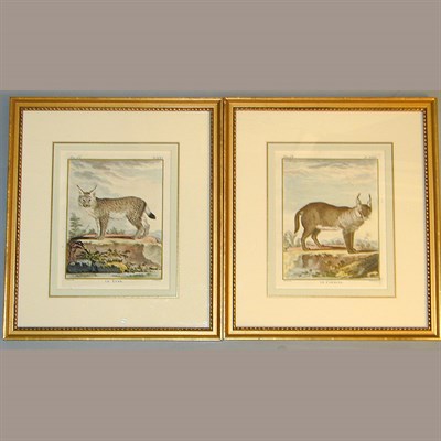 Lot 52 - After De Sere LE LYNX and LA CARACAL Two...