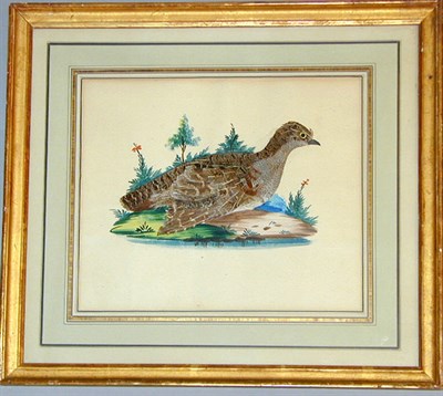 Lot 50 - Artist Unknown 19th Century [BIRD PORTRAIT]...