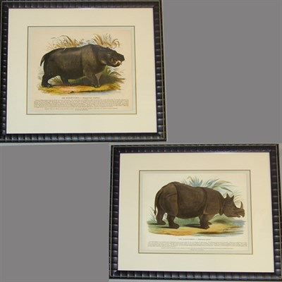 Lot 49 - English School THE HIPPOPOTAMUS and THE...
