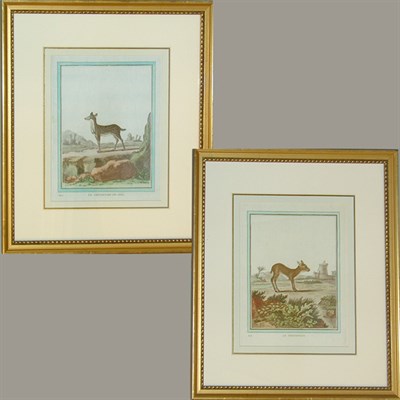 Lot 54 - French School LE CHEVROTAIN DE JAVA and LE...