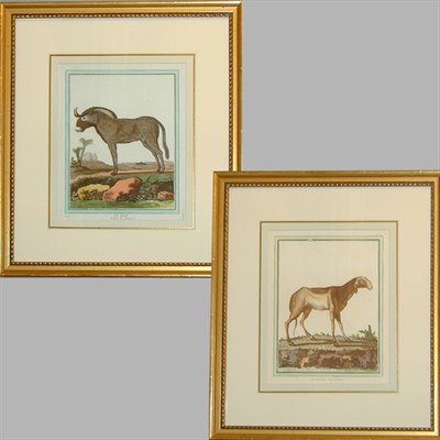 Lot 57 - French School LE GNOU and LA BREBIS DES INDES...
