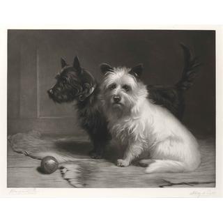 Lot 69 - After Margaret Collyer (British, fl....