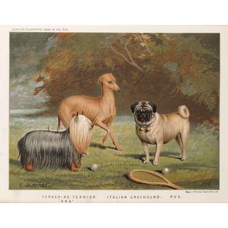 Lot 87 - A set of twenty four coloured lithographs from...