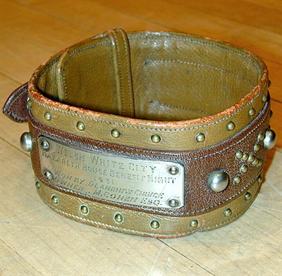 Lot 99 - A brown leather studded Greyhound collar,...