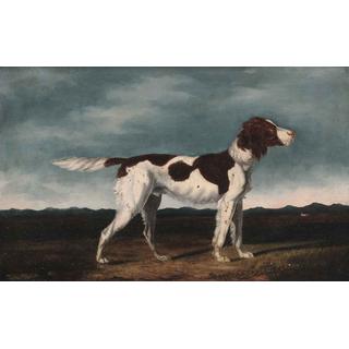 Lot 120 - W.H. Turner (British, 19th century) An Irish...