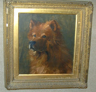 Lot 171 - English school, c. 1900 A Chow-Chow oil on...