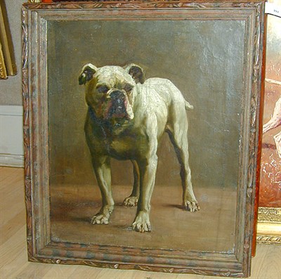 Lot 193 - English School c.1920 A Bulldog 21 x 17in. (53....
