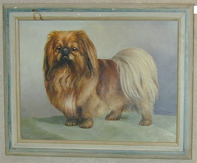 Lot 194 - English School, c. 1920 A Pekingese oil on...