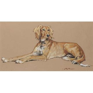 Lot 200 - Kay Nixon (British, 1895-1988) A Saluki signed,...