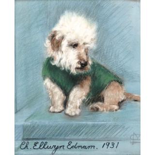 Lot 205 - English school, 1931 Dandie Dinmont Ch. Ellwyn...