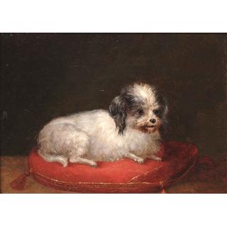 Lot 252 - English School, 19th century A Maltese Terrier...