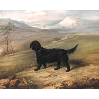 Lot 256 - Thomas W. Bretland (British, 1802-1874) 'Romp',...