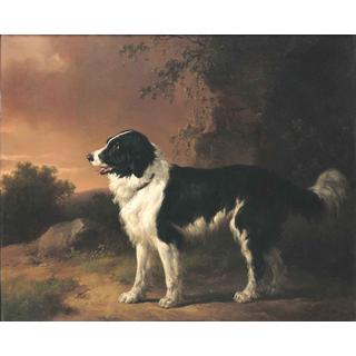 Lot 306 - Wouterus Verschuur (Dutch, 1812-1874) A...