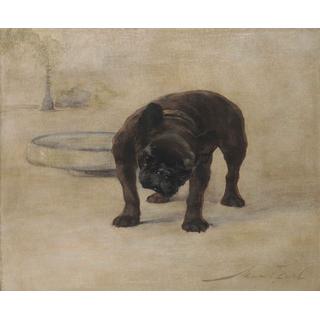 Lot 345 - Maud Earl (British, d.1943) French Bulldog...
