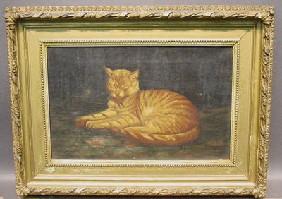 Lot 3 - 19th Century School CAT NAP Oil on canvas 11 x...