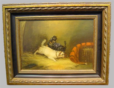 Lot 101 - Circle of George Armfield TERRIERS WORKING A...