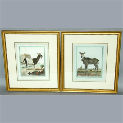 Lot 75 - After De Sere LA CHEVRE and LE NIGAUT MALE Two...