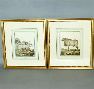 Lot 68 - After De Sere LE MORVANT and LA BREBIS Two...