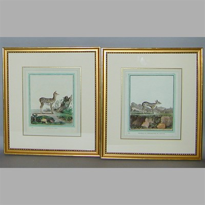 Lot 70 - After De Sere LE FAON DU CERF and MEMINA OU...