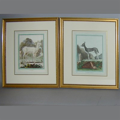 Lot 102 - After De Sere LA DAINE and LE RITBOK FEMELLE...