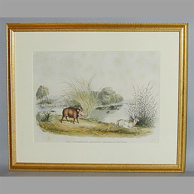 Lot 76 - W. C. Harris THE AFRICAN WILD BOAR...