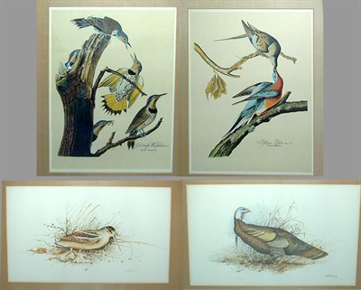 Lot 67 - -After Gregory F. Messier [BIRDS] Two...
