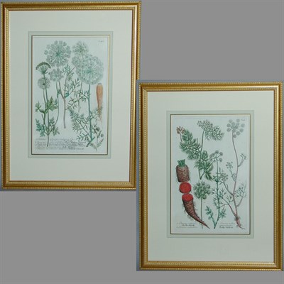 Lot 69 - After Johann Weinmann [FLORAL STUDIES] Two...