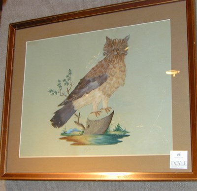 Lot 59 - Artist Unknown 19th Century NIGHT OWL...