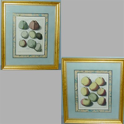 Lot 86 - After Johann Hermann Knoop [APPLES] Two...