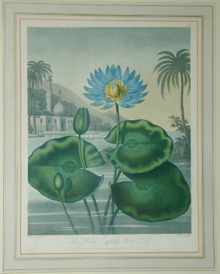 Lot 311 - Robert John Thornton THE BLUE EGYPTIAN WATER...