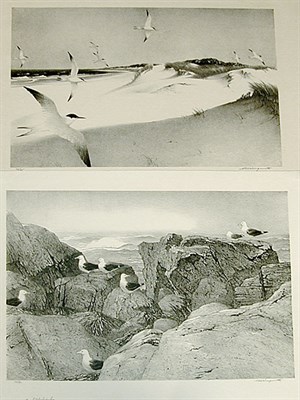 Lot 328 - Stow Wengenroth SUMMER FLIGHT; DUNES AND TERNS;...