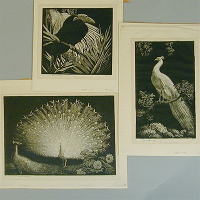 Lot 251 - Lionel Lindsay HORNBILL; THE WHITE FAN; THE...