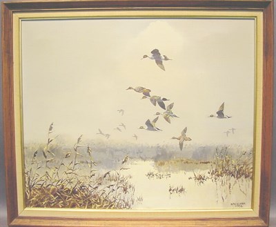 Lot 142 - Hugh Monahan Irish, 1914-1970 PINTAIL IN THE...