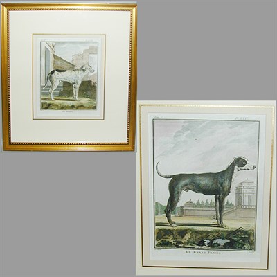Lot 64 - After Johann Weinmann [FLORAL STUDIES] Two...