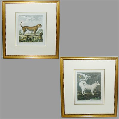 Lot 69 - After De Sere CHIEN COURANT METIS and LE CHIEN...