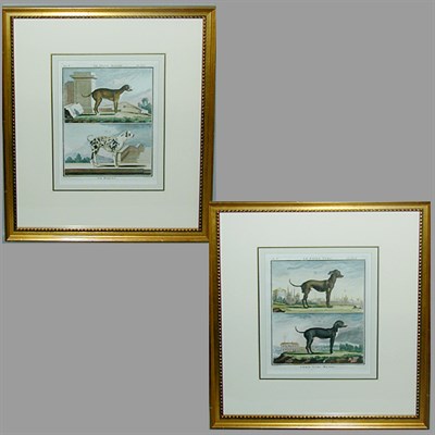Lot 55 - After De Sere LE PETIT DANOIS, LE ROQUET and...