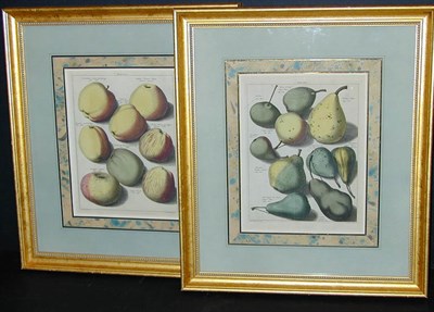 Lot 90 - After Johann Hermann Knoop [PEARS] and...