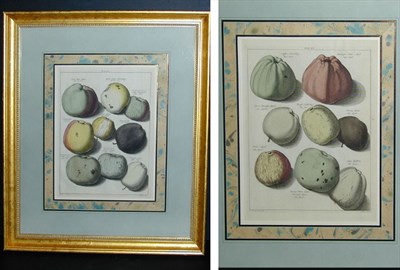 Lot 66 - After Johann Hermann Knoop [APPLES] Two...