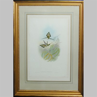 Lot 63 - J. Gould & H.C. Richter PHAETHORNIS...