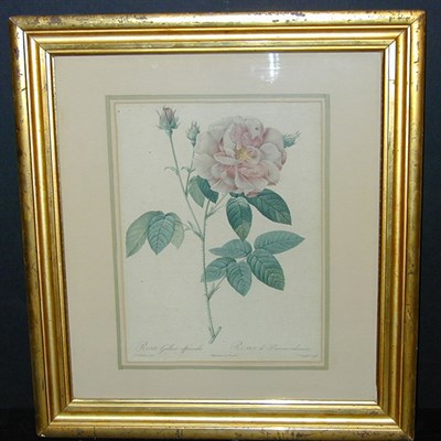 Lot 77 - After P.J. Redoute ROSA GALLICA OFFICINALIS...