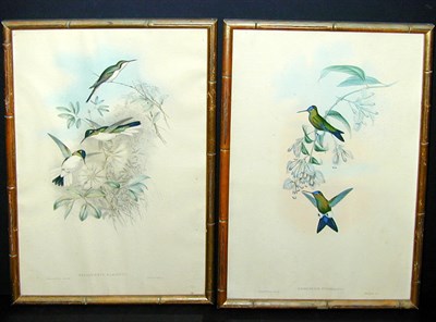 Lot 91 - J. Gould and H. C. Richter ERIOCNEMIS...