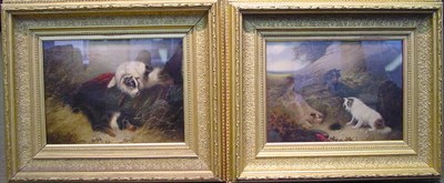 Lot 97 - Edward Armfield British, 1817-1896 TERRIERS...