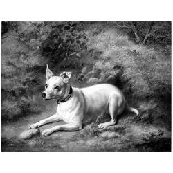 Lot 198 - Benjamin Cam Norton British, 1835-1900 WHITE...