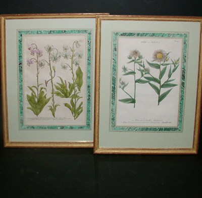 Lot 116 - After Johann Weinmann [FLORAL STUDIES] Four...