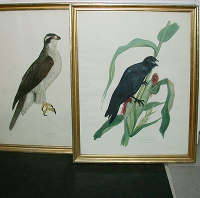 Lot 132 - After Carroll Tyson [BIRDS] Two color...