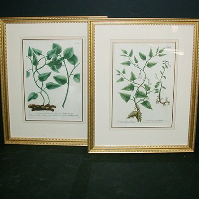 Lot 110 - After Johann Weinmann [FLORAL STUDIES] Two...