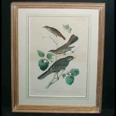 Lot 93 - After John James Audubon LITTLE TAWNY THRUSH...