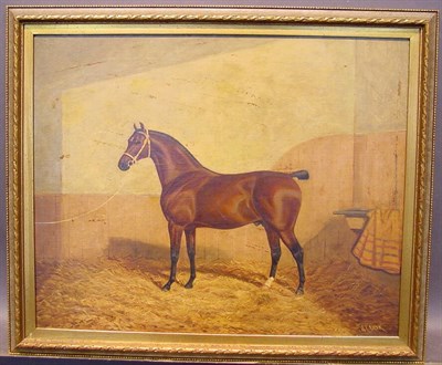 Lot 14 - Albert Clark British, 1821-1900 HORSE IN...